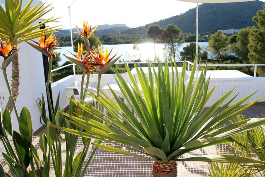 Beach Inn Apartment Alcúdia Eksteriør bilde