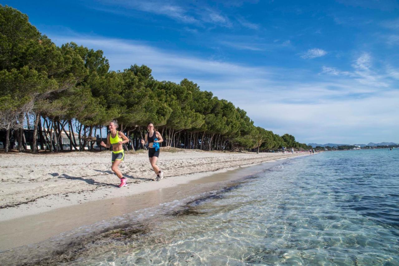 Beach Inn Apartment Alcúdia Eksteriør bilde