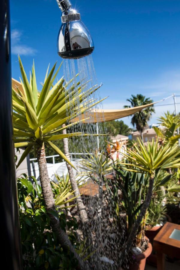 Beach Inn Apartment Alcúdia Eksteriør bilde