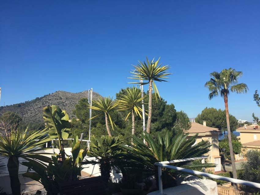 Beach Inn Apartment Alcúdia Eksteriør bilde