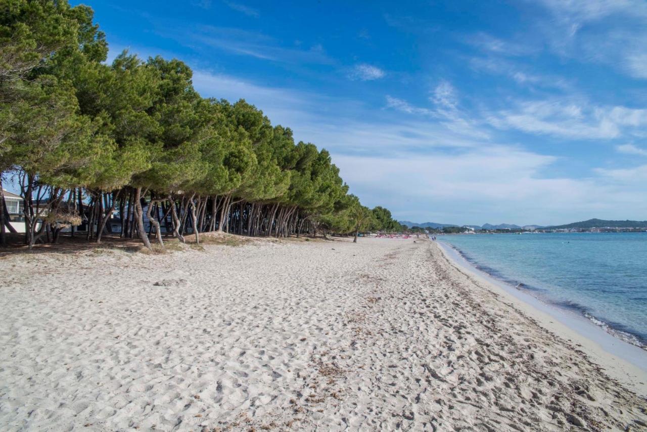 Beach Inn Apartment Alcúdia Eksteriør bilde